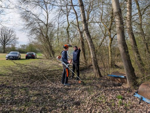 PXL 20260411 072925841